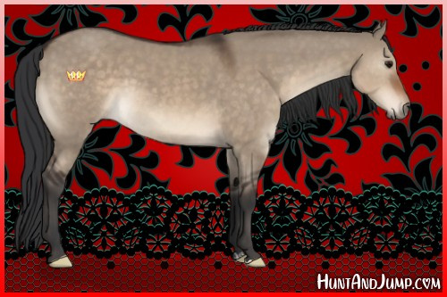 Horse Color:Brown Dun 