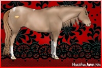 Horse Color:Liver Chestnut Pearl Tobiano 