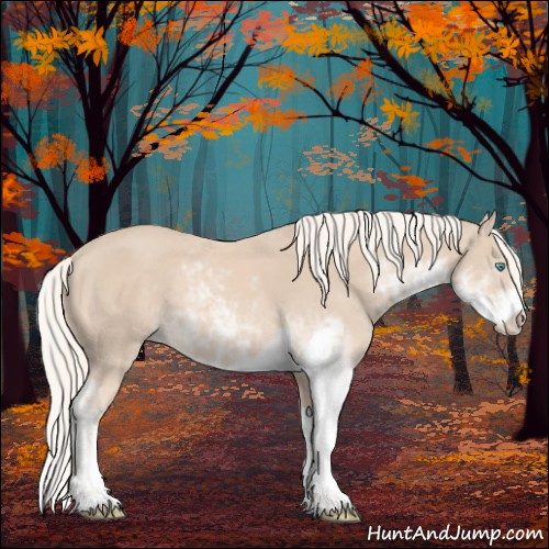 Horse Color:Cremello Sabino 