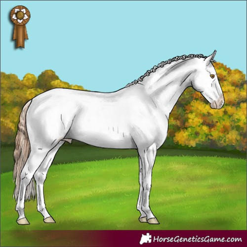 Horse Color:Brown Pearl Sabino Appaloosa 