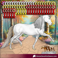 Horse Color:Smoky Black Pearl Sabino