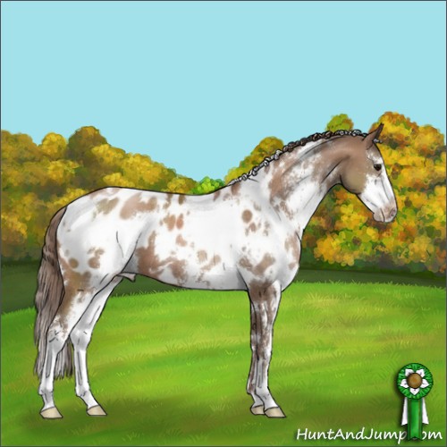 Horse Color:White Spotted Black Pearl Sabino Blanket 