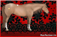 Horse Color:Black Pearl Tobiano 