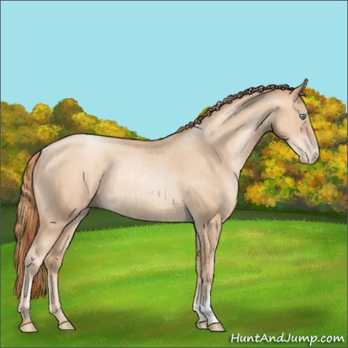 Horse Color:Gold Champagne Pearl Rabicano  and Sable Champagne Pearl Rabicano 