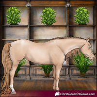 Horse Color:Gold Champagne Pearl Rabicano  and Gold Champagne Pearl Rabicano 