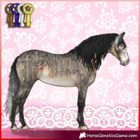 Horse Color:Buckskin Dun Sabino Rabicano Brindle  and Gray Brown Roan Sabino Rabicano 