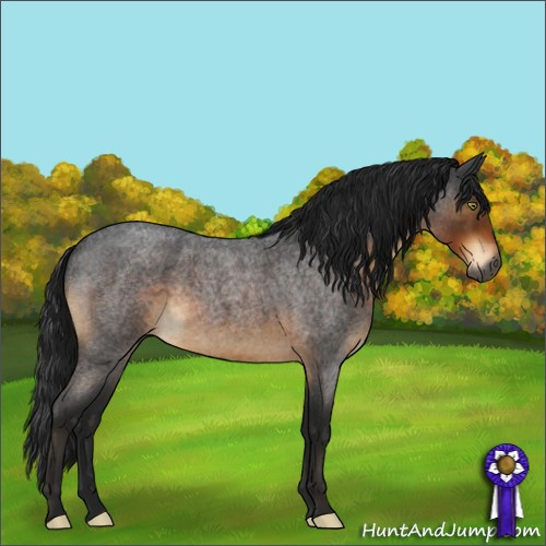 Horse Color:Gray Buckskin Roan Sabino Rabicano 