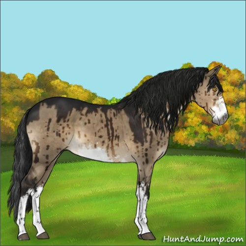 Horse Color:Gray Brown Dun Sabino Brindle 