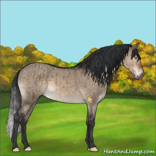 Horse Color:Brown Dun Sabino Brindle