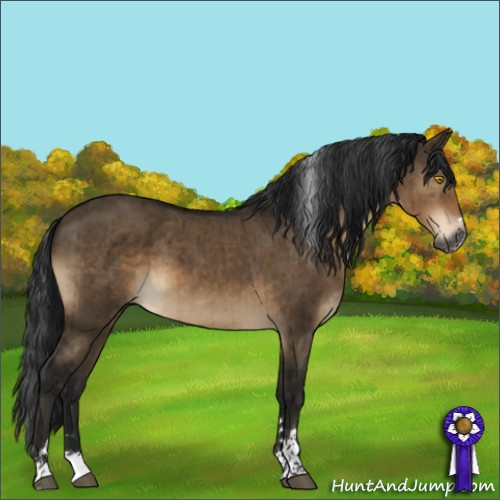 Horse Color:Gray Brown Dun Sabino Brindle
