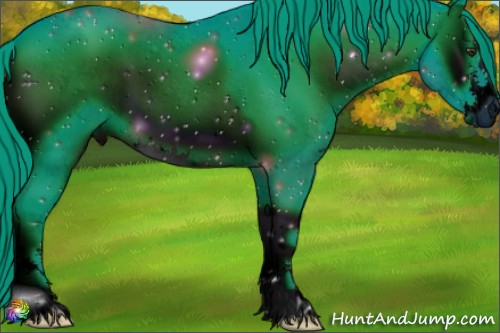Horse Color:ERROR: UNKNOWN ANOMALY
