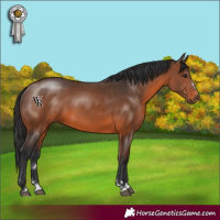 Horse Color:Brown 