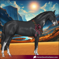 Horse Color:Black Sabino 