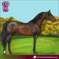 Horse Color:Brown 