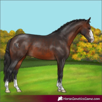 Horse Color:Brown 