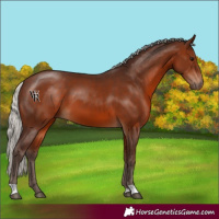 Horse Color:Silver Brown