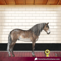 Horse Color:Gray Brown Dun Mushroom Sabino Brindle and Silver Brown Dun Sabino Brindle