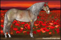 Horse Color:Silver Brown Dun Sabino Brindle