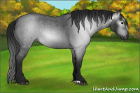 Horse Color:Gray Blue Roan