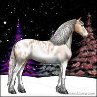 Horse Color:Gray Silver Buckskin Roan Dun Splash Tobiano Frame Appaloosa Rabicano 