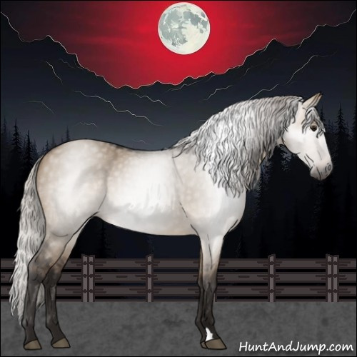 Horse Color:Gray Silver Bay Dun 