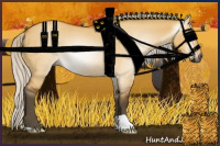 Horse Color:Gray Silver Buckskin Dun