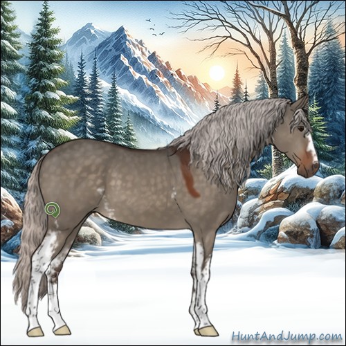 Horse Color:White Spotted Silver Brown Dun Sabino 
