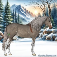 Horse Color:White Spotted Silver Brown Dun Sabino 