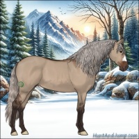 Horse Color:Silver Bay Dun 