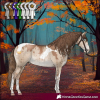 Horse Color:Grullo Pearl Sabino Tobiano Brindle 