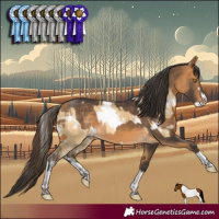 Horse Color:White Spotted Buckskin Dun Sabino  and Buckskin Tobiano 