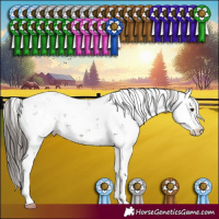Horse Color:Liver Chestnut Sabino