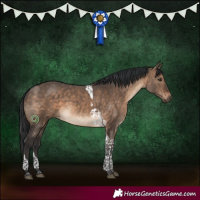 Horse Color:Brown Dun Tobiano 