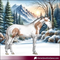 Horse Color:Liver Chestnut Pearl Sabino Splash Tobiano Rabicano 