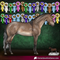 Horse Color:Brown Dun Sabino