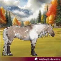Horse Color:White Spotted Silver Brown Dun