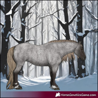 Horse Color:Liver Red Roan Rabicano 