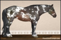 Horse Color:White Spotted Brown 