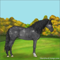 Horse Color:Blue Roan 