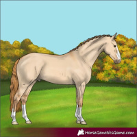 Horse Color:Red Dun 