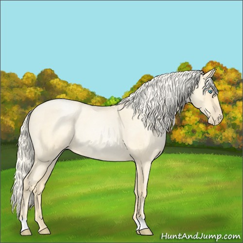 Horse Color:Palomino Roan Pearl Rabicano 