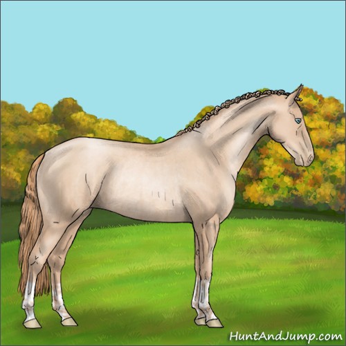 Horse Color:Gold Champagne Pearl Rabicano  and Gold Champagne Pearl Rabicano 