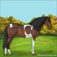Horse Color:Brown Tobiano 