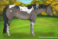 Horse Color:Grullo Tobiano