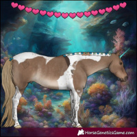 Horse Color:Liver Red Dun Tobiano Rabicano 