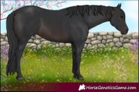 Horse Color:Brown 