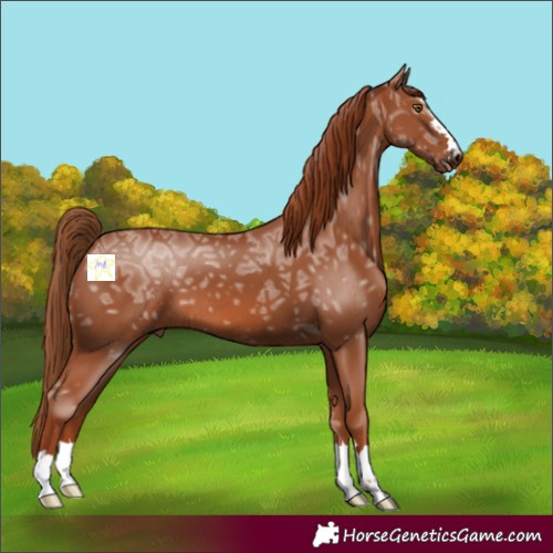 Horse Color:Chestnut Ice 