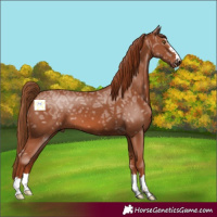 Horse Color:Chestnut Ice 