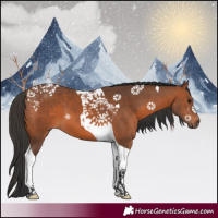 Horse Color:Bay Tobiano 