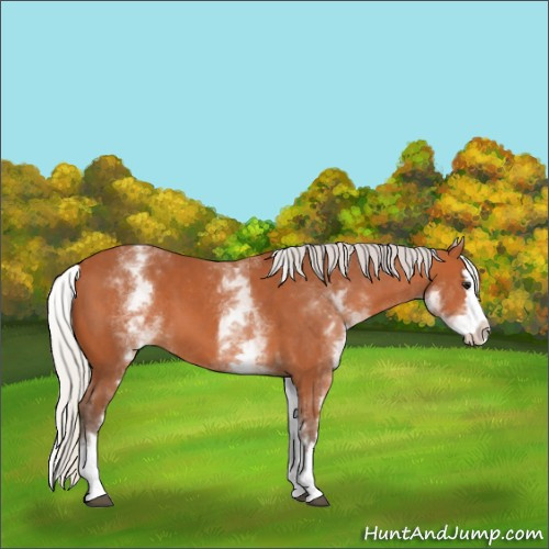 Horse Color:White Spotted Silver Bay Splash 